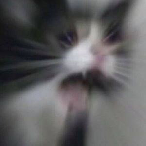 Meet your Posher, Ethan